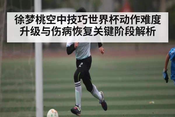 徐梦桃空中技巧世界杯动作难度升级与伤病恢复关键阶段解析